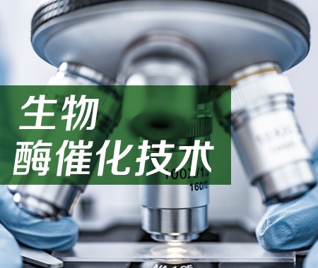 生物酶催化技術(shù)2 拷貝.jpg